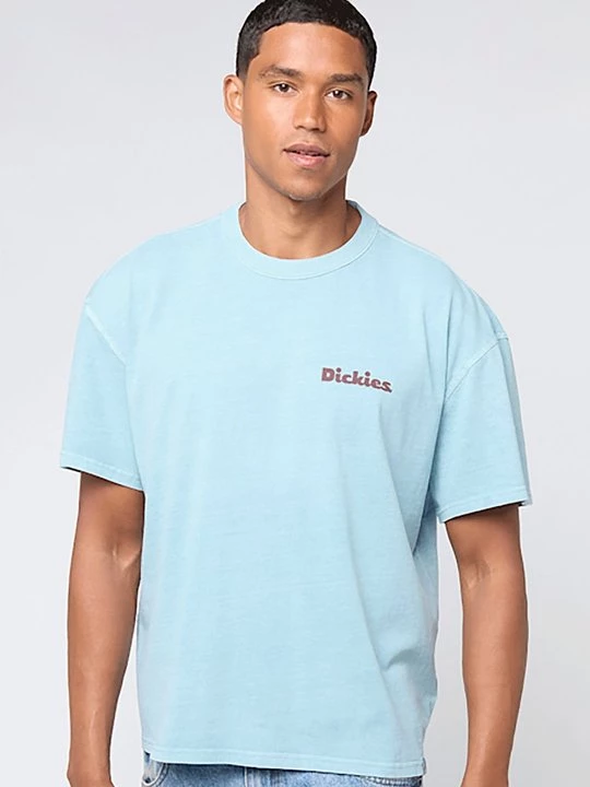 Obrázek produktu Triko s potiskem Dickies