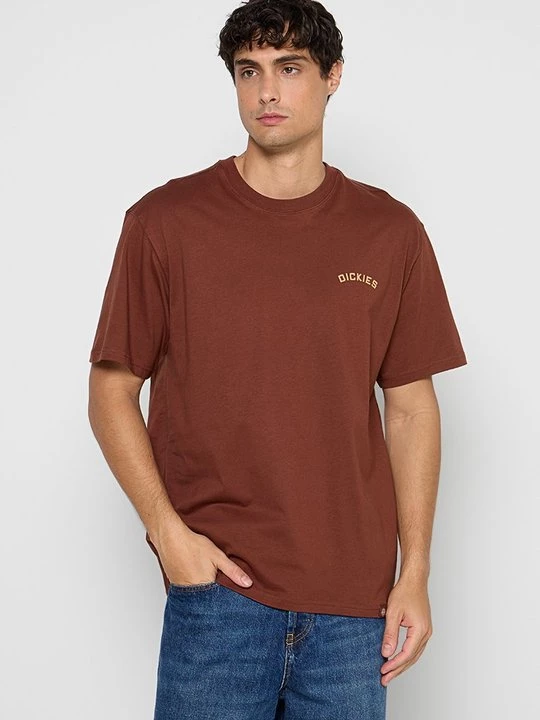 Obrázek produktu Triko s potiskem Dickies