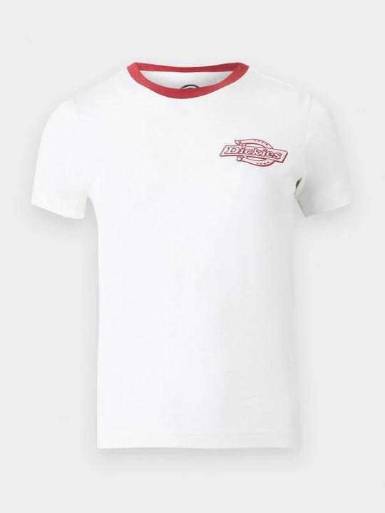 Obrázek produktu Triko s potiskem Dickies