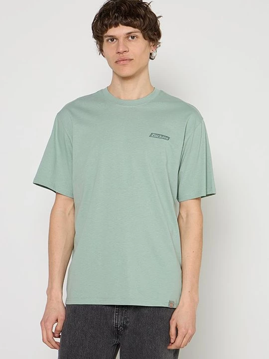 Obrázek produktu Triko s potiskem Dickies
