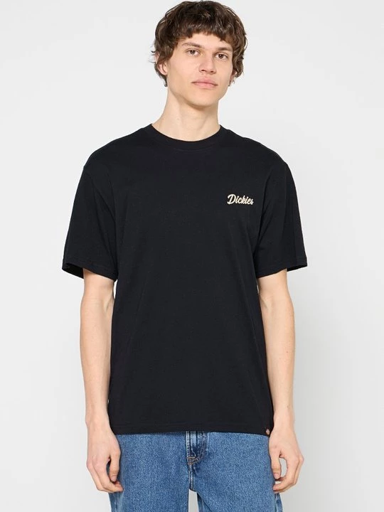 Obrázek produktu Triko s potiskem Dickies
