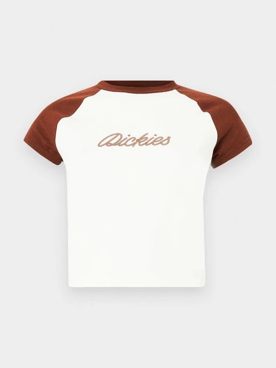 Obrázek produktu Triko s potiskem Dickies