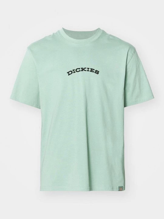 Obrázek produktu Triko s potiskem Dickies