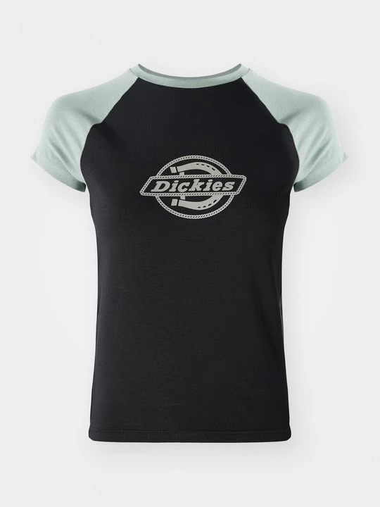 Obrázek produktu Triko s potiskem Dickies