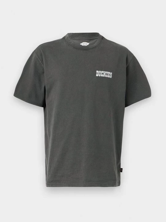 Obrázek produktu Triko s potiskem Dickies