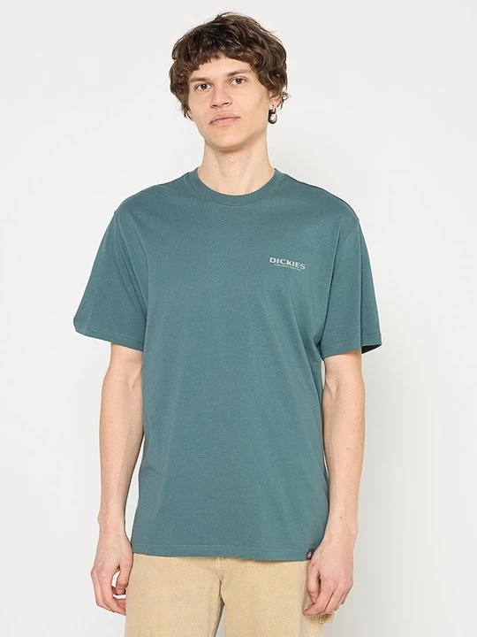 Obrázek produktu Triko s potiskem Dickies