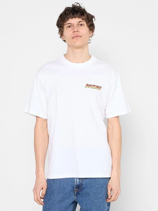Obrázek produktu Triko s potiskem Dickies