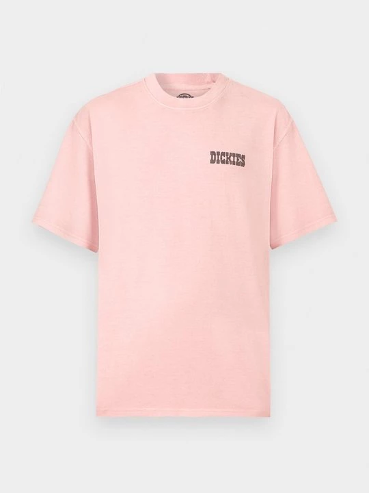 Obrázek produktu Triko s potiskem Dickies
