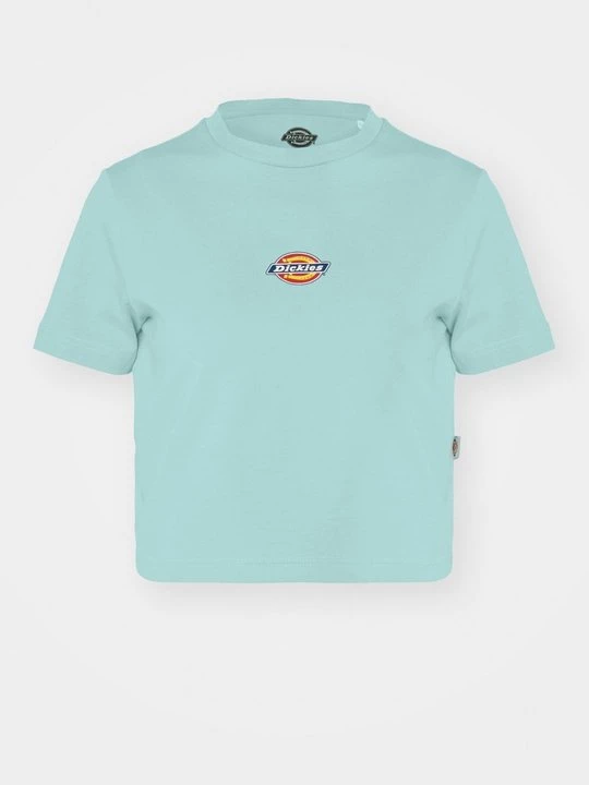Obrázek produktu Triko s potiskem Dickies
