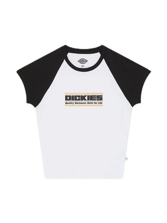 Obrázek produktu Triko s potiskem Dickies