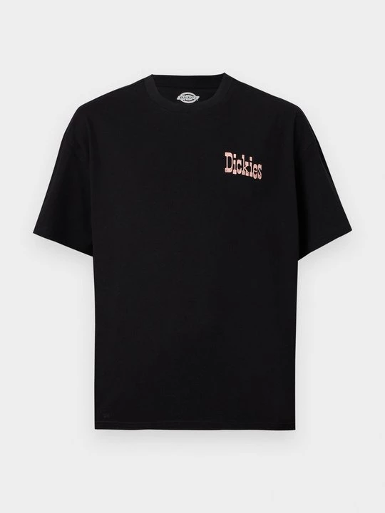 Obrázek produktu Triko s potiskem Dickies černá