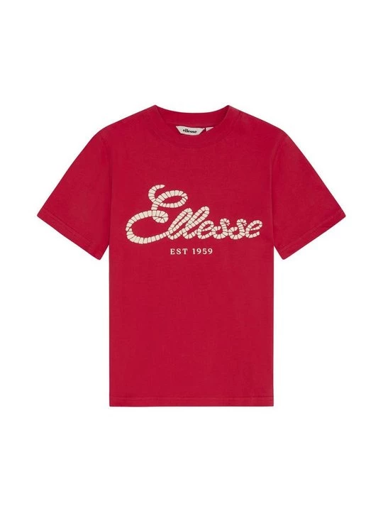 Obrázek produktu Triko s potiskem Ellesse červená