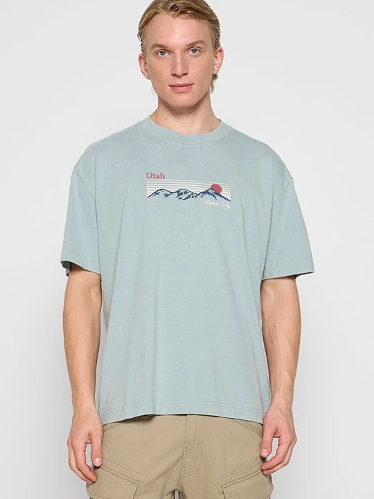 Obrázek produktu Triko s potiskem Hollister Co. modrošedá