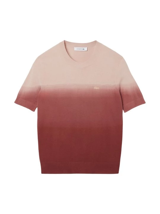 Obrázek produktu Triko s potiskem Lacoste hnědá