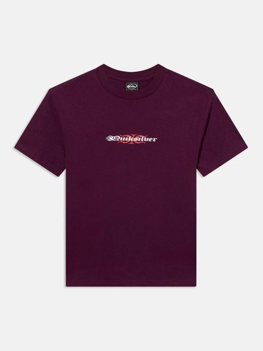 Obrázek produktu Triko s potiskem Quiksilver tmavě fialová
