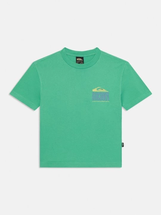 Obrázek produktu Triko s potiskem Quiksilver zelená