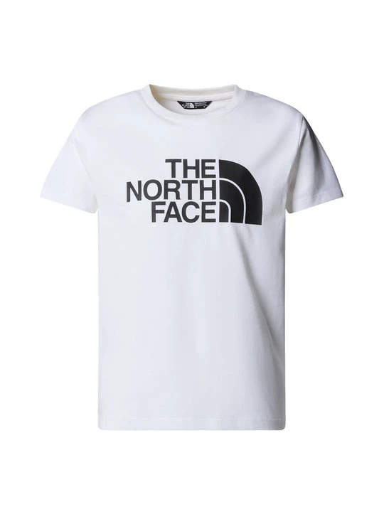 Obrázek produktu Triko s potiskem The North Face