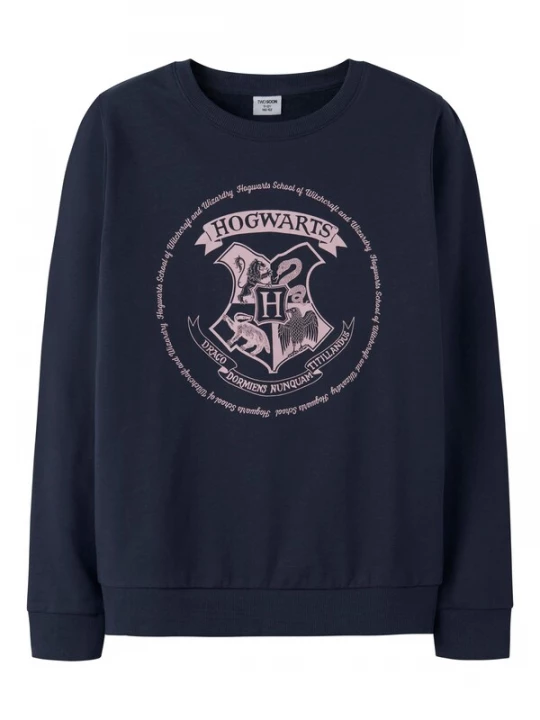 Obrázek produktu TWO SOON Mikina 'Harry Potter' modrá / pink