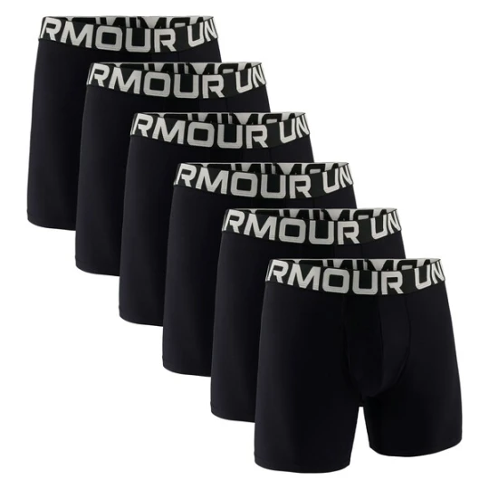 Obrázek produktu UNDER ARMOUR Boxerky béžová / černá