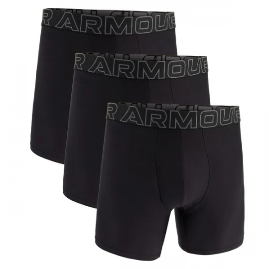Obrázek produktu UNDER ARMOUR Boxerky šedá / černá