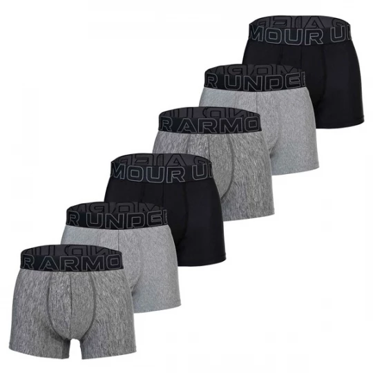 Obrázek produktu UNDER ARMOUR Boxerky šedá / černá