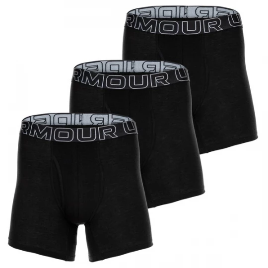 Obrázek produktu UNDER ARMOUR Boxerky šedá / černá