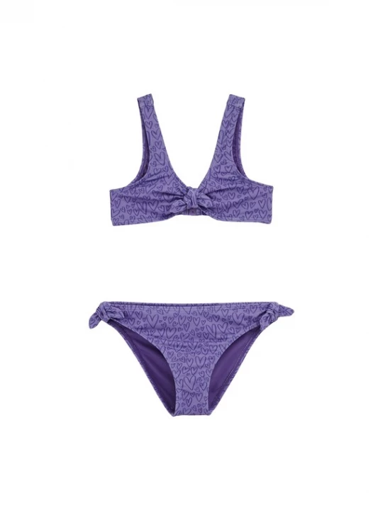 Obrázek produktu WE Fashion Bikiny fialová / světle fialová