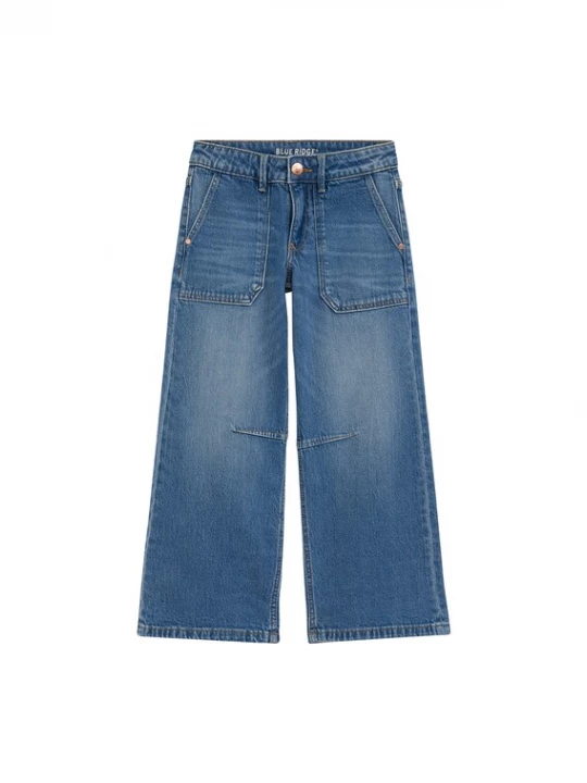 Obrázek produktu WE Fashion Džíny modrá