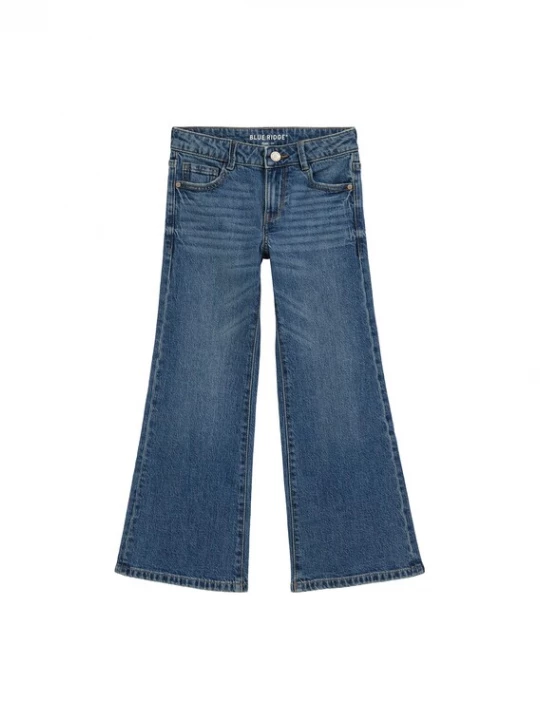 Obrázek produktu WE Fashion Džíny modrá džínovina