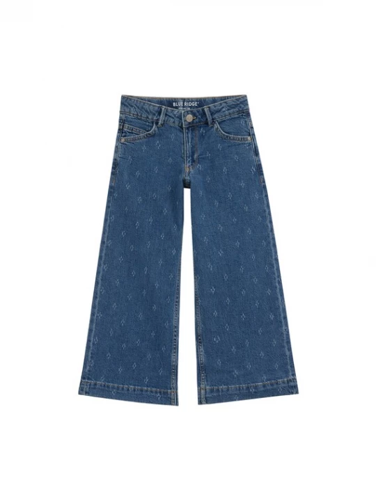 Obrázek produktu WE Fashion Džíny modrá džínovina