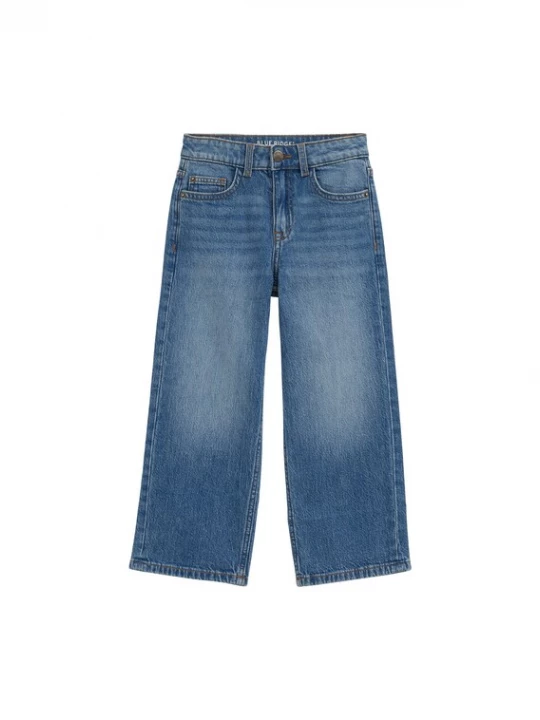 Obrázek produktu WE Fashion Džíny modrá džínovina