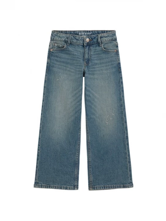 Obrázek produktu WE Fashion Džíny modrá džínovina