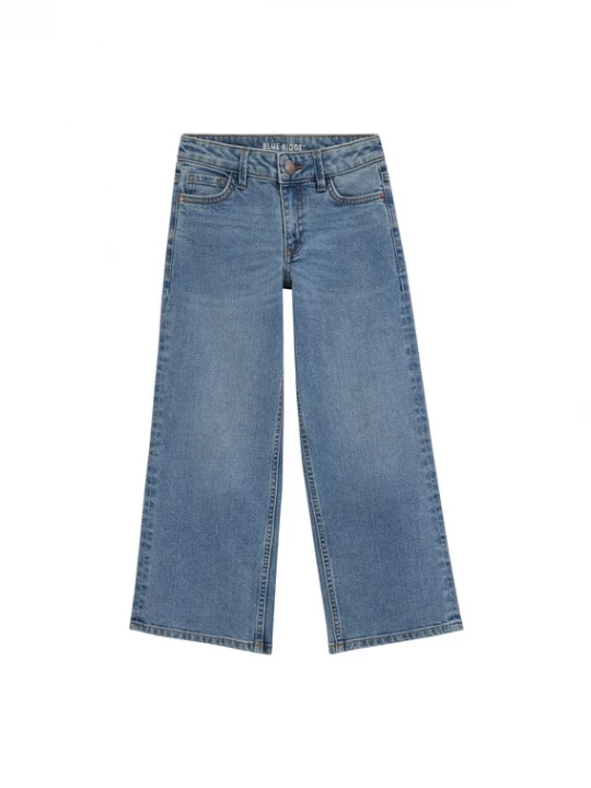 Obrázek produktu WE Fashion Džíny modrá džínovina