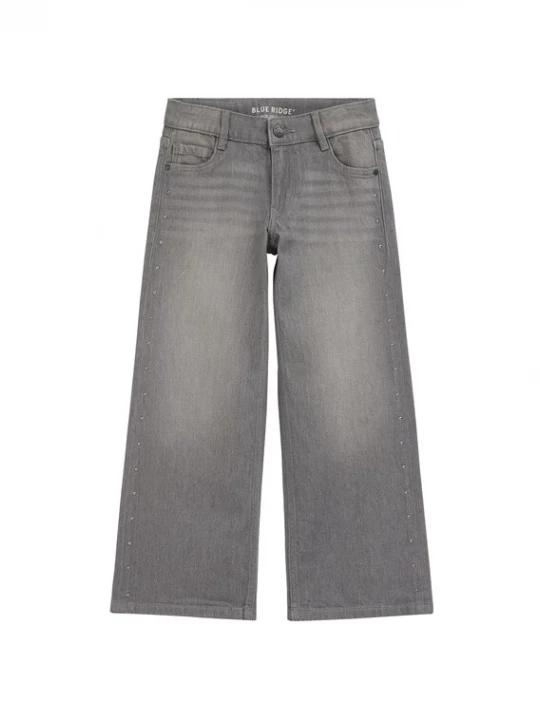 Obrázek produktu WE Fashion Džíny šedá džínová
