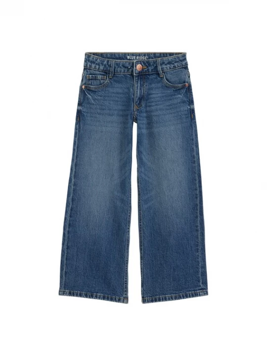 Obrázek produktu WE Fashion Džíny tmavě modrá