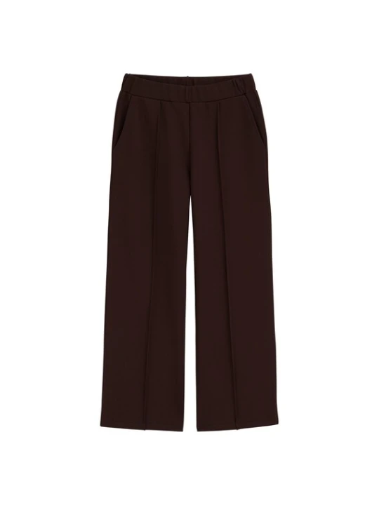 Obrázek produktu WE Fashion Kalhoty tmavě hnědá