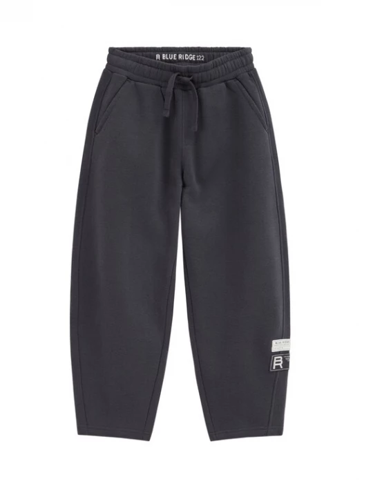 Obrázek produktu WE Fashion Kalhoty tmavě šedá