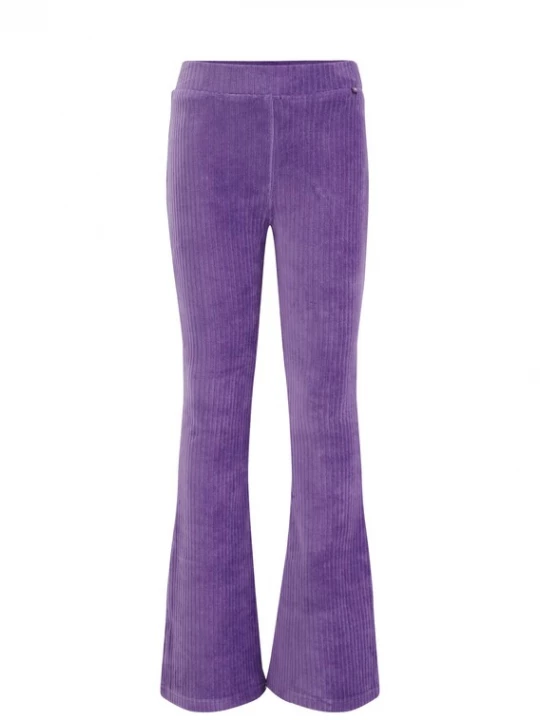 Obrázek produktu WE Fashion Legíny  fialová