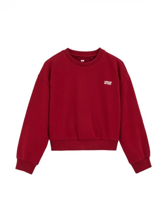 Obrázek produktu WE Fashion Mikina červená / bílá