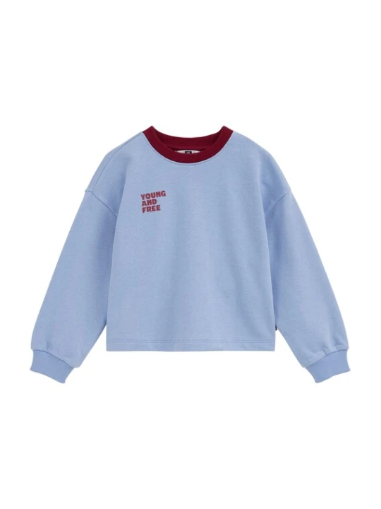 Obrázek produktu WE Fashion Mikina světlemodrá / burgundská červeň