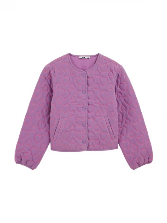 Obrázek produktu WE Fashion Přechodná bunda fialová