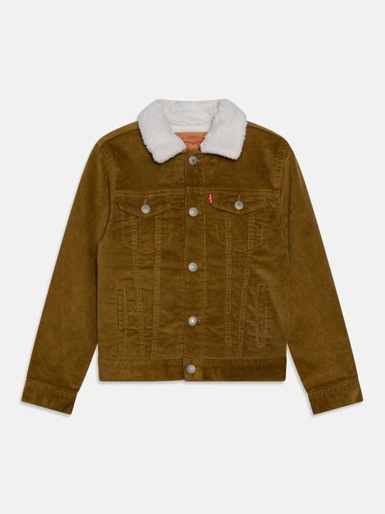 Obrázek produktu Zimní bunda Levi's