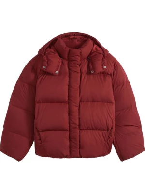 Obrázek produktu LEVI'S ® Zimní bunda 'TATE' tmavě červená