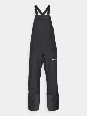 Obrázek produktu Lyžařské kalhoty adidas Terrex