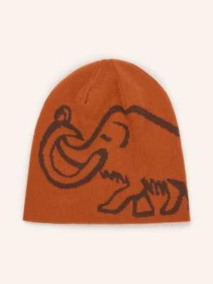 Obrázek produktu Mammut Obratná Čepice hnědá / tmavě šedá