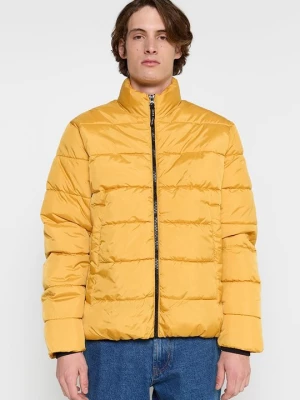 Obrázek produktu Mezisezónní bunda Pepe Jeans žlutá