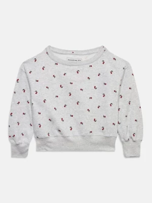 Obrázek produktu Mikina Abercrombie & Fitch