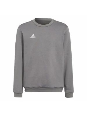 Obrázek produktu Mikina Adidas