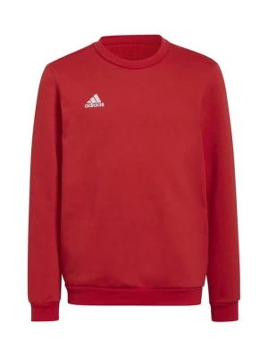 Obrázek produktu Mikina Adidas červená