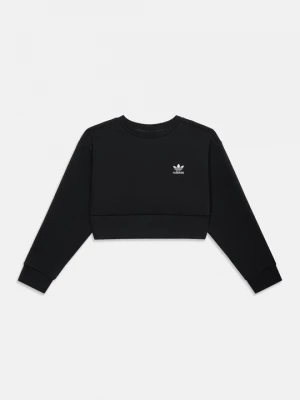 Obrázek produktu Mikina adidas Originals černá